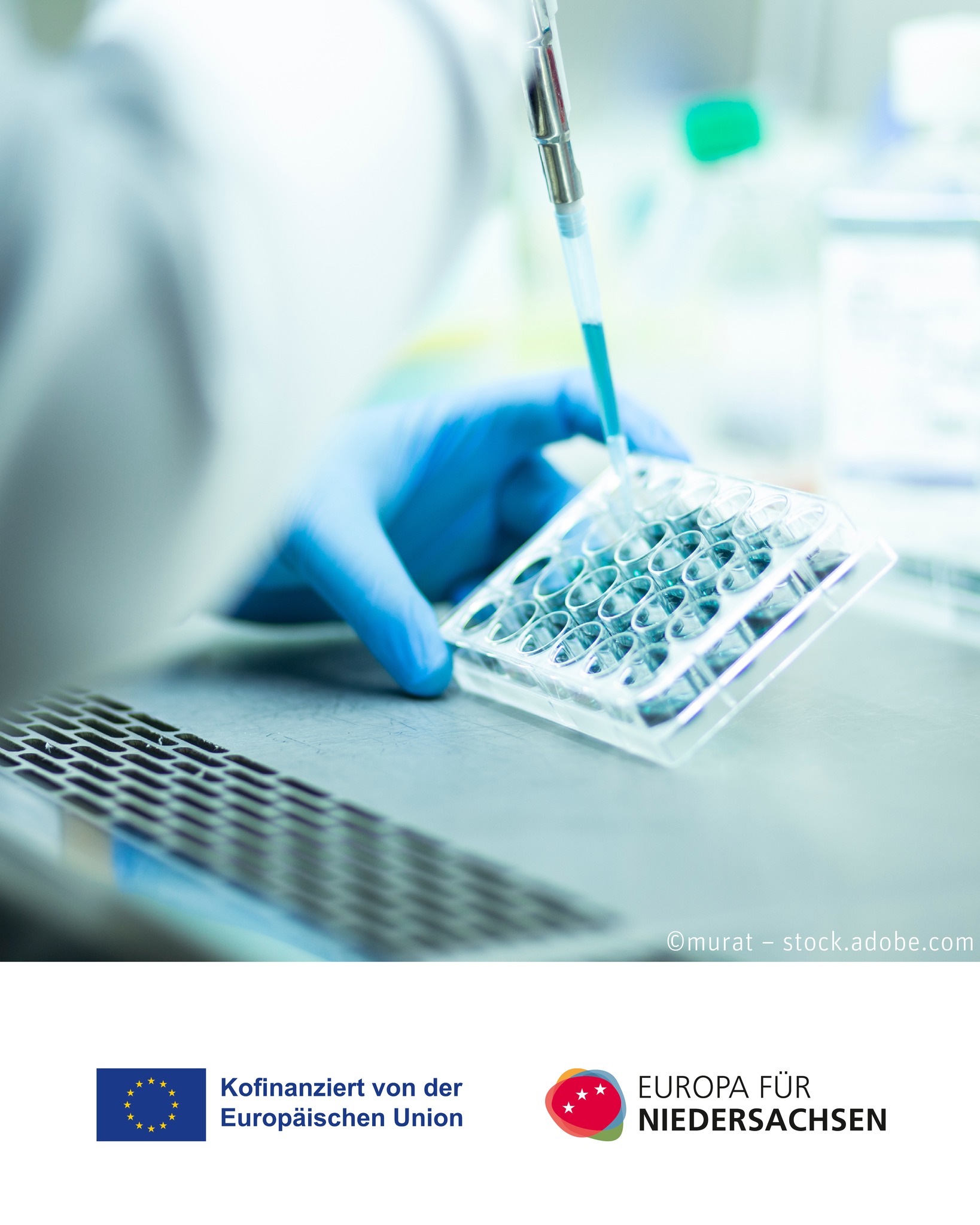 🔬🤖🧫 Stell dir vor, du könntest Zellen beim Wachsen so gut „lesen“, dass du schon vorher weißt, was als Nächstes... 🔬🤖🧫 Stell dir vor, du könntest Zellen beim Wachsen so gut „lesen“, dass du schon vorher weißt, was als Nächstes...
