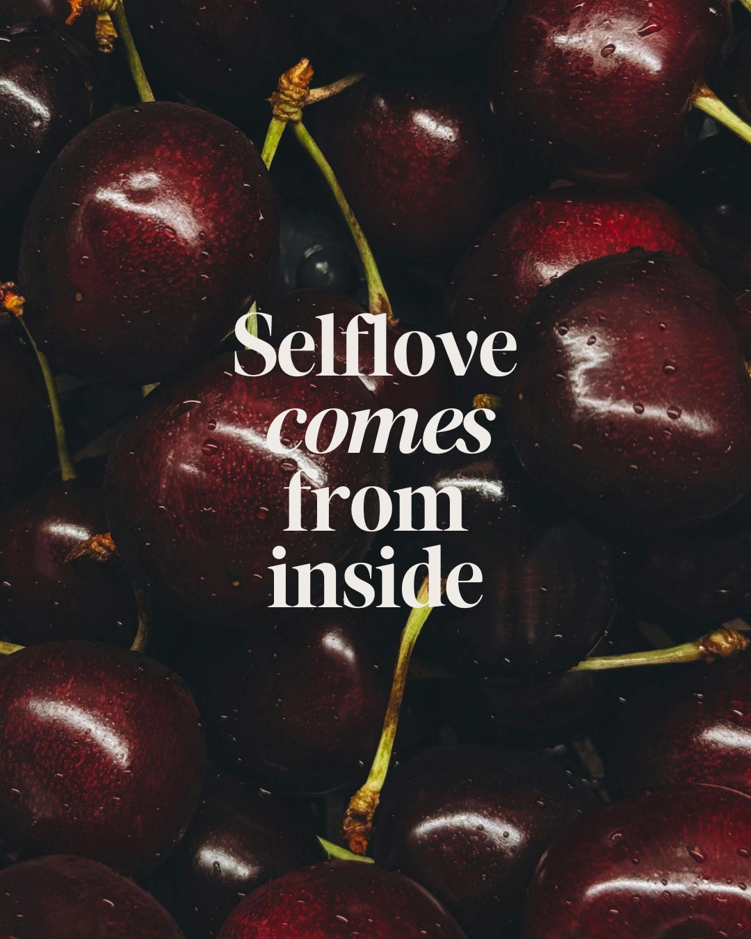 Happy Valentines Day 🌹 A reminder: the love you gi…