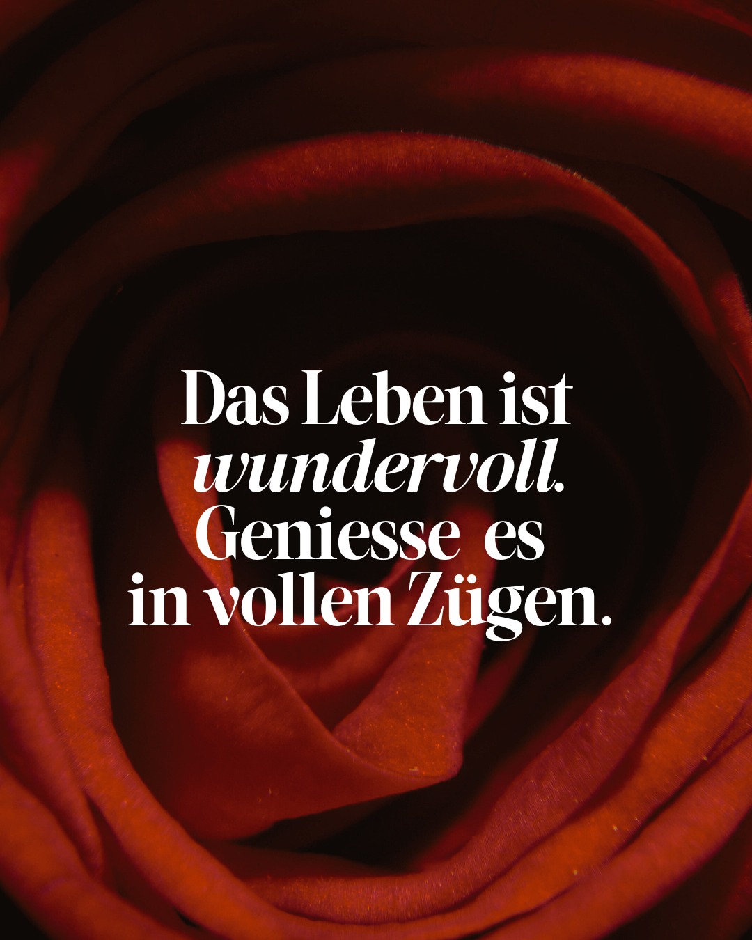 Schönheit, die von Balance kommt. Für mehr Wohlgef…