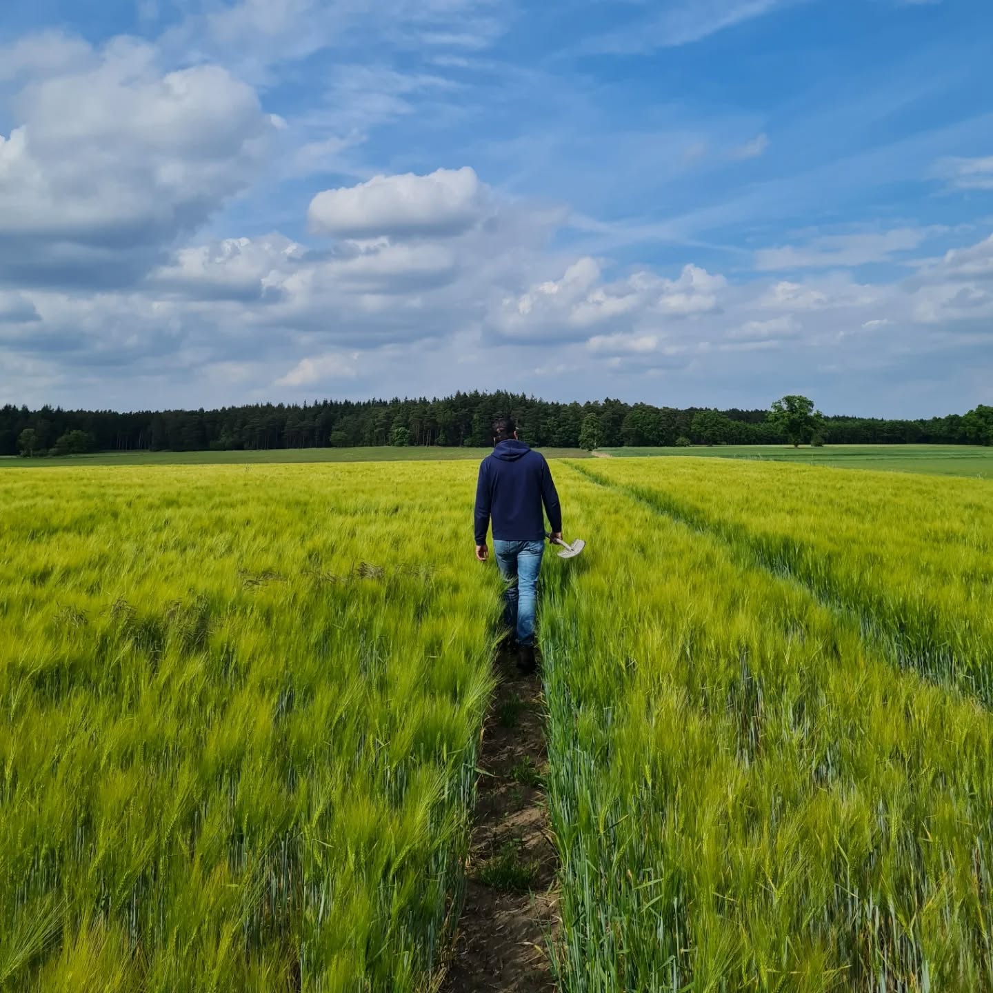 Heute haben wir eine ausführliche Feldrundfahrt gemacht, um zu schauen wo gegebenenfalls noch Pflanzenschutzmaßnahmen nötig sind. Swipe bis zum Ende um zu sehen wie hoch unser Roggen auf einem Feld ist 👀
Was schätzt ihr wann geht es los mit der Ernte? 🌾