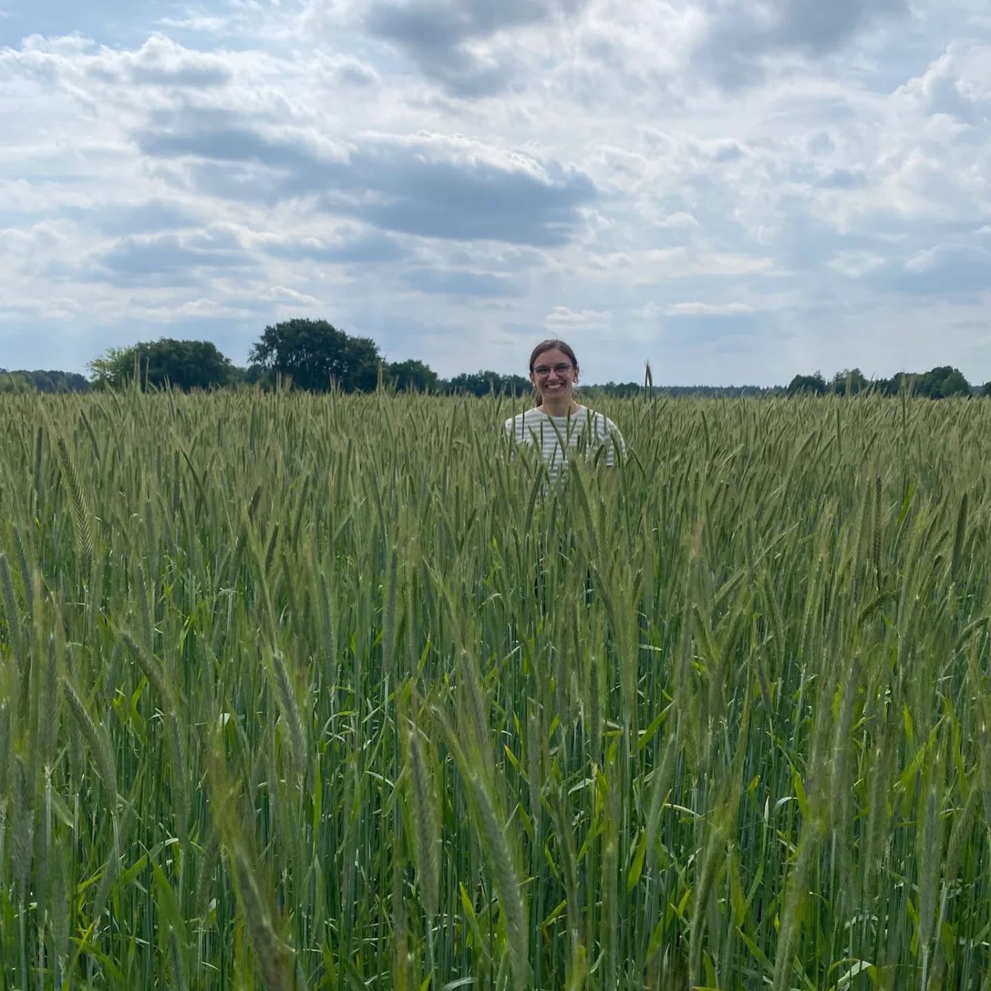 Heute haben wir eine ausführliche Feldrundfahrt gemacht, um zu schauen wo gegebenenfalls noch Pflanzenschutzmaßnahmen nötig sind. Swipe bis zum Ende um zu sehen wie hoch unser Roggen auf einem Feld ist 👀
Was schätzt ihr wann geht es los mit der Ernte? 🌾