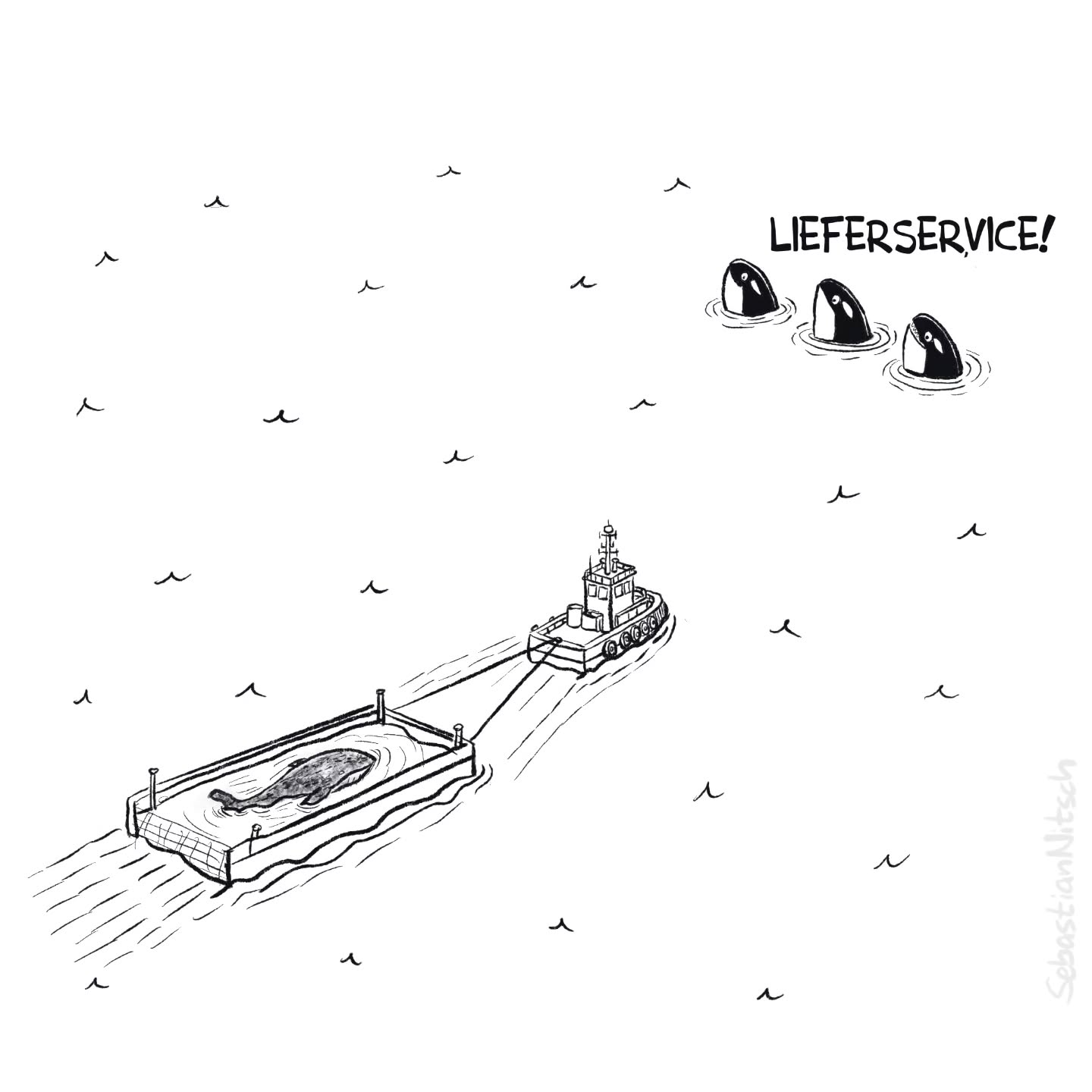 Es gibt für alles ein erstes Mal. Die Menschen holen sich ein Gefühl der Wirksamkeit, und die Tierwelt hat auch was davon.
#buckelwal #timmy #hope #stellnetze #ostsee